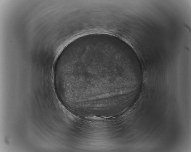 X0000100861508200807111240