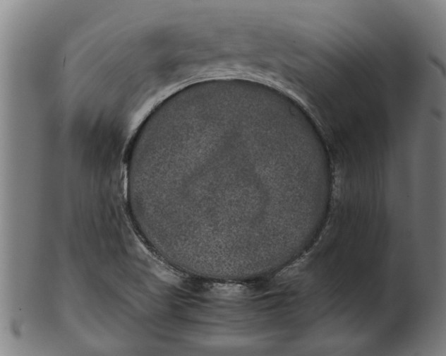 X0000100861509200807111240