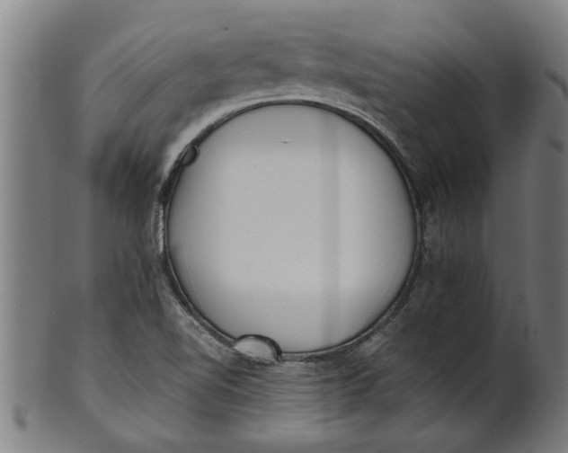 X0000100861510200807111240