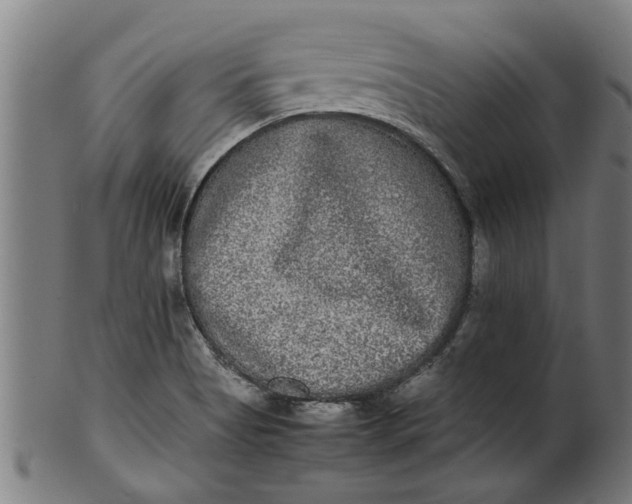 X0000100861513200807111240