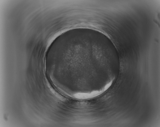 X0000100861515200807111240