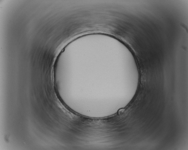 X0000100861516200807111240