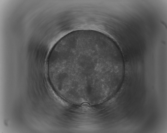 X0000100861517200807111240