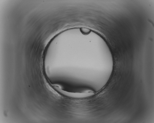 X0000100861518200807111240