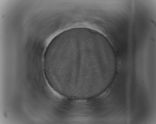 X0000100861519200807111240