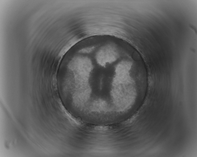 X0000100861521200807111240