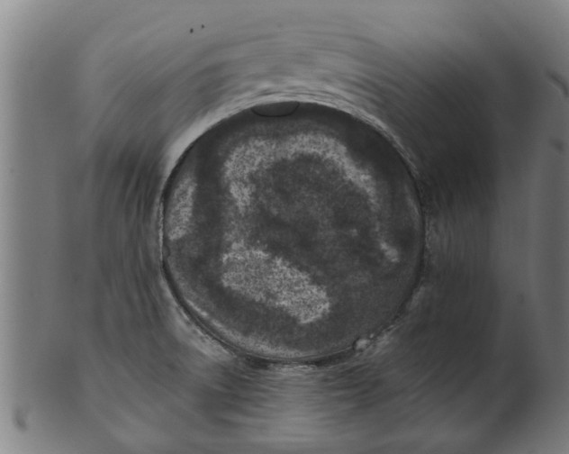 X0000100861522200807111240