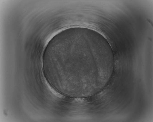 X0000100861523200807111240