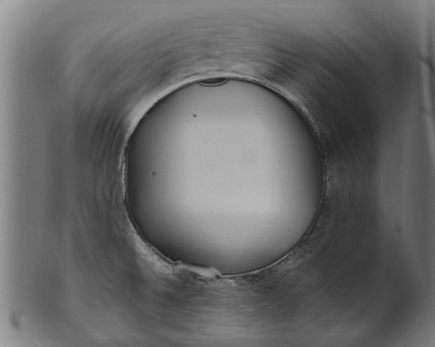 X0000100861524200807111240