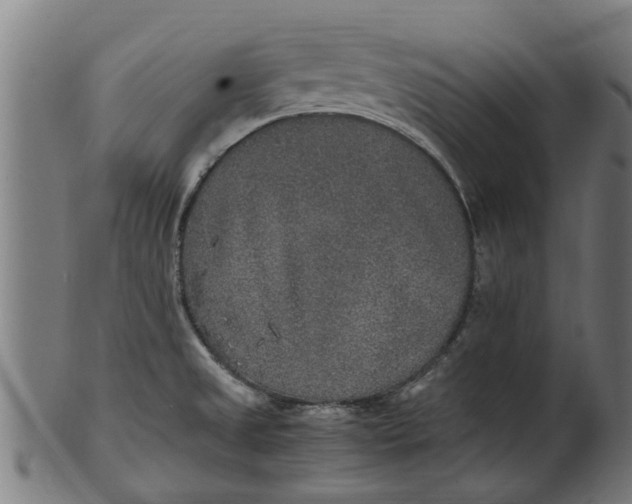 X0000100861525200807111240