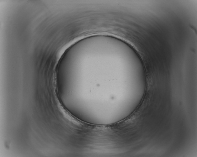 X0000100861526200807111240