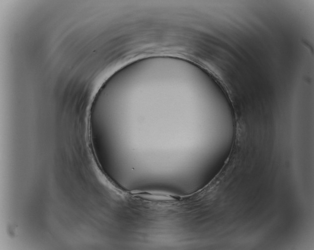 X0000100861528200807111240