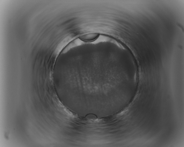 X0000100861529200807111240