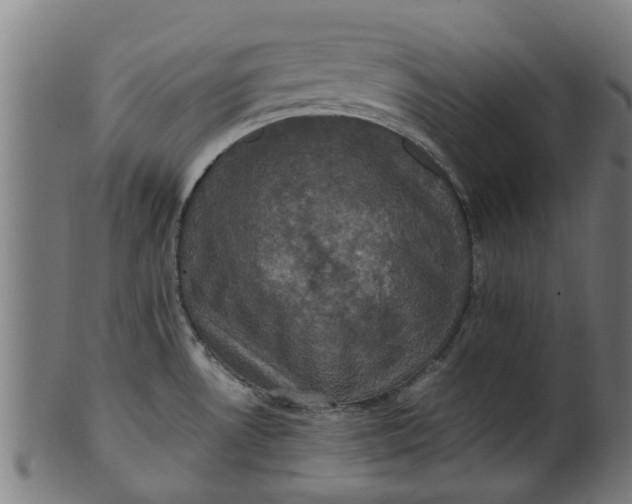 X0000100861530200807111240