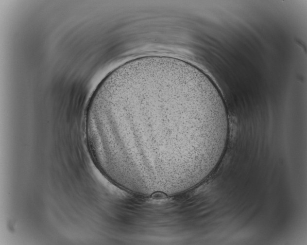 X0000100861531200807111240