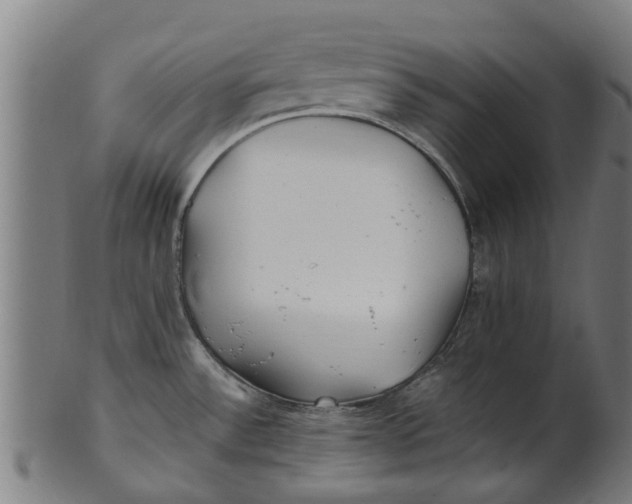 X0000100861532200807111240