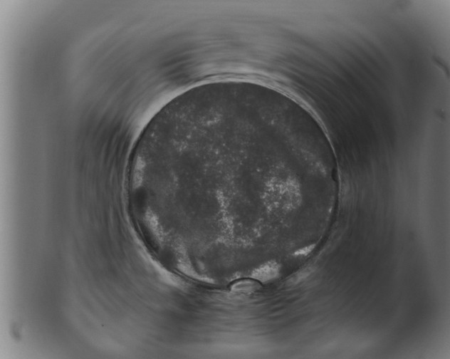 X0000100861533200807111241