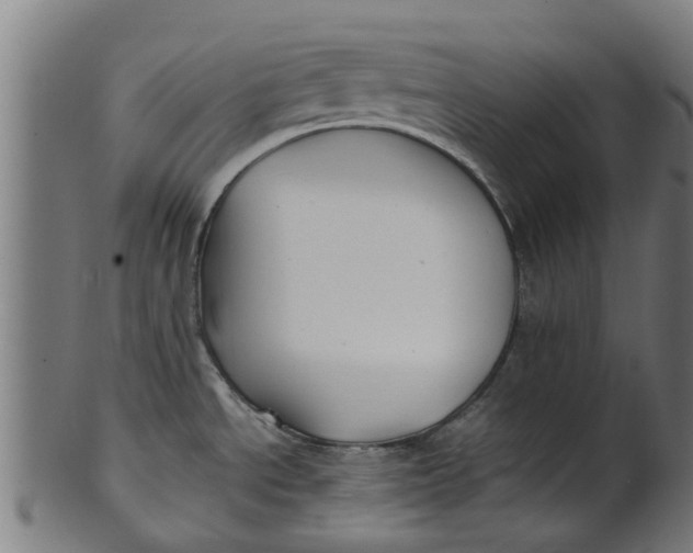 X0000100861534200807111241