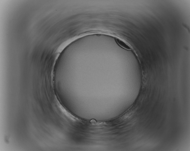 X0000100861535200807111241