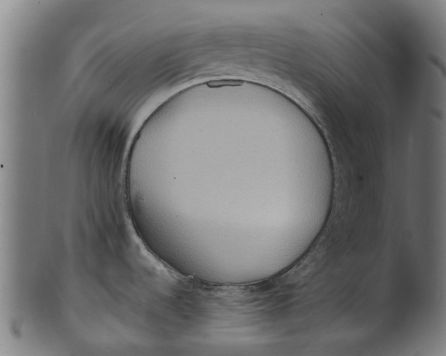 X0000100861536200807111241