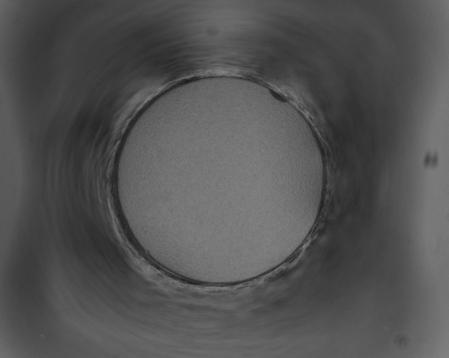 X0000100860001200807181147