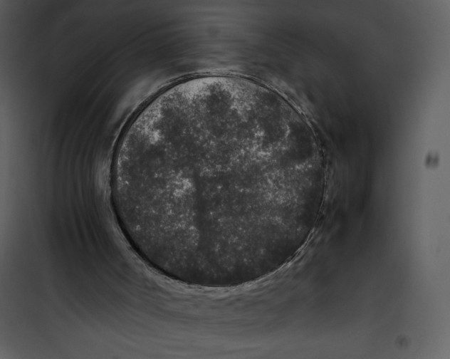 X0000100860002200807181147