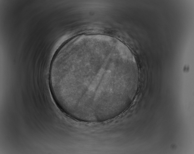 X0000100860003200807181147