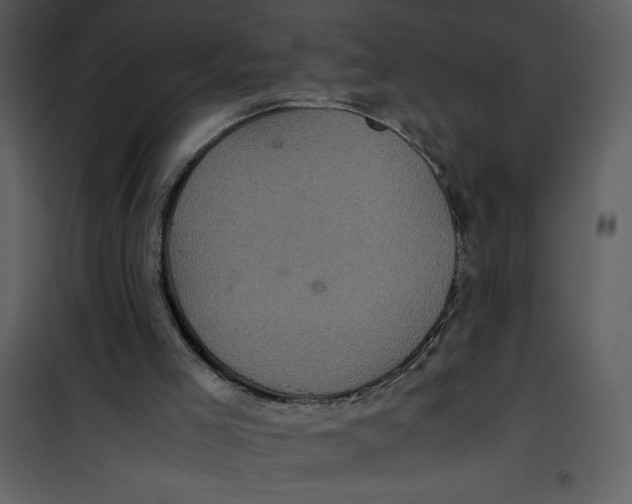 X0000100860005200807181147