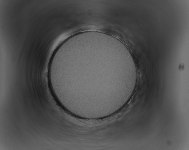 X0000100860006200807181147