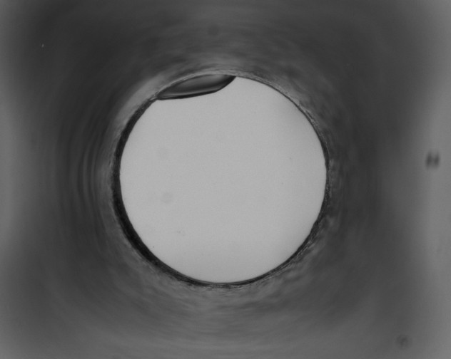 X0000100860007200807181147