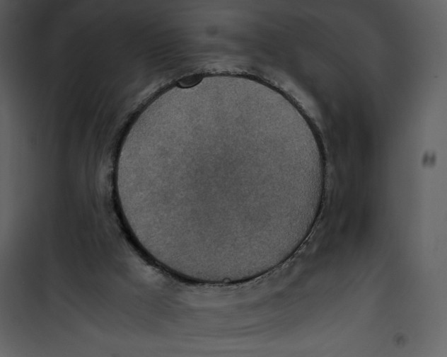 X0000100860009200807181147