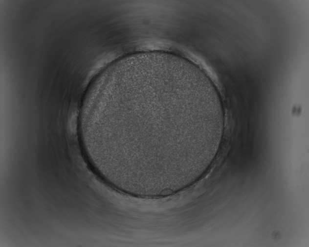 X0000100860010200807181147