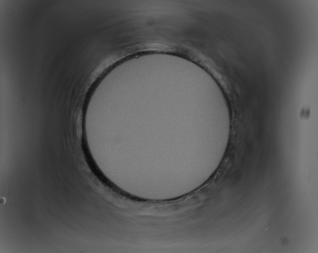 X0000100860011200807181147