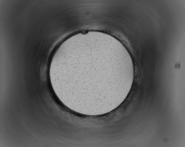 X0000100860012200807181147