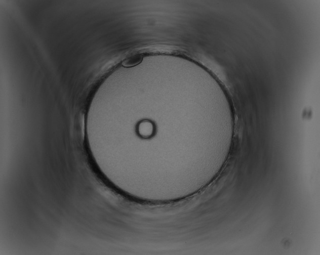 X0000100860013200807181147