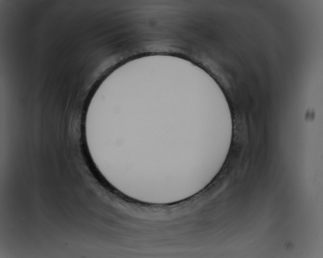 X0000100860015200807181147