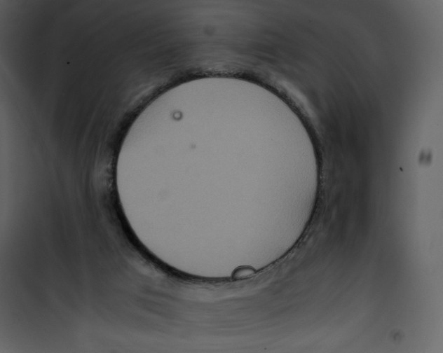 X0000100860017200807181147