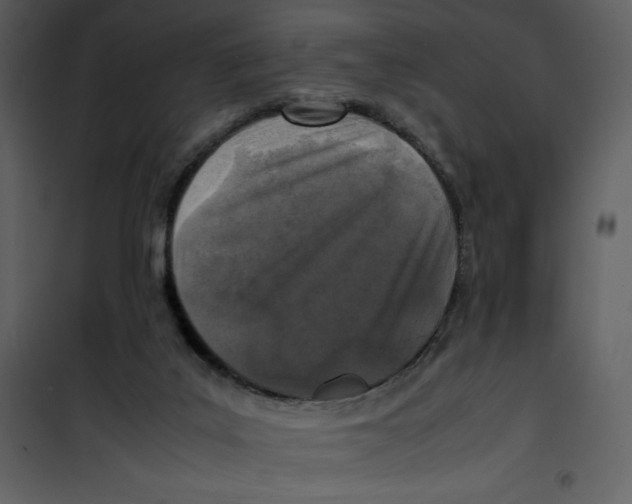 X0000100860019200807181147