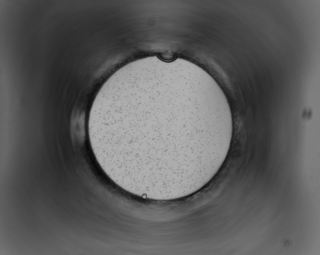 X0000100860020200807181147