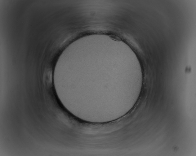 X0000100860021200807181146