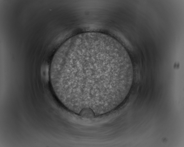 X0000100860022200807181146