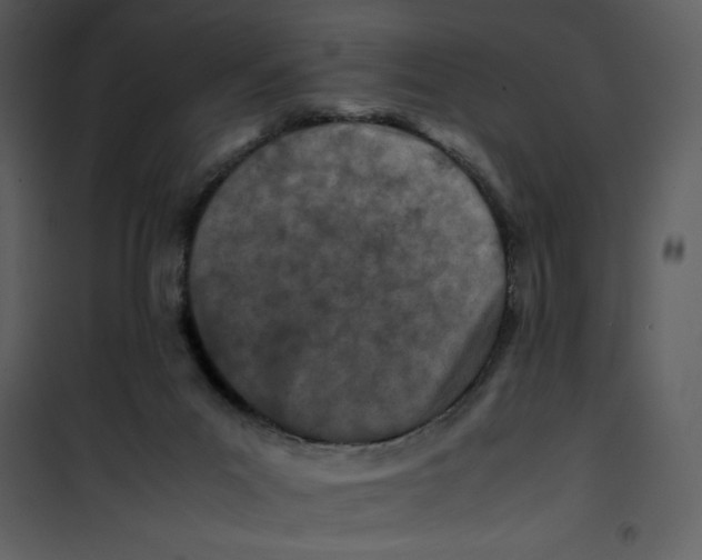 X0000100860023200807181146