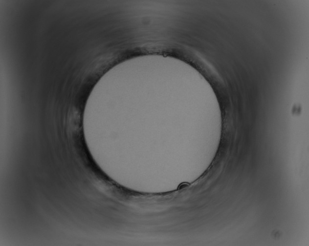 X0000100860025200807181146