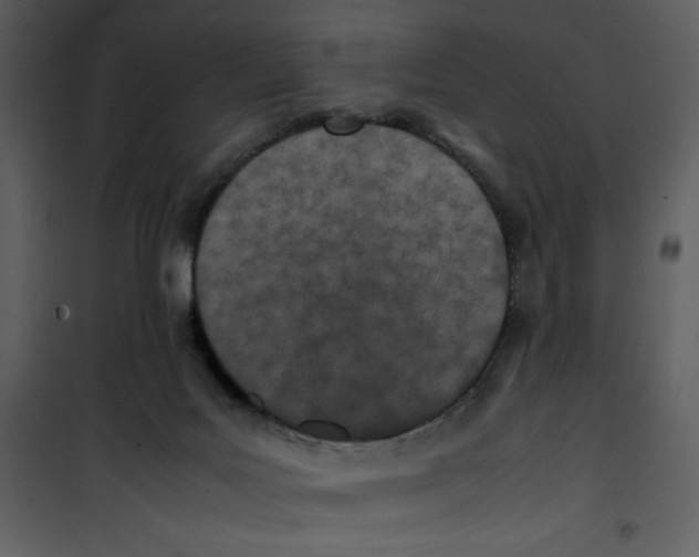 X0000100860027200807181146