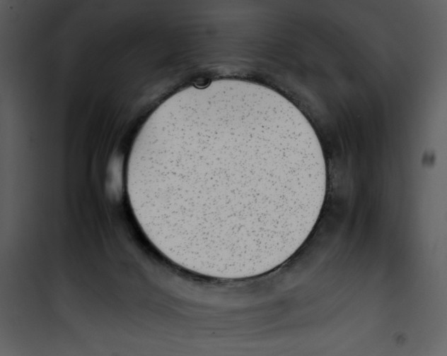 X0000100860028200807181146