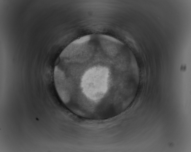 X0000100860029200807181146