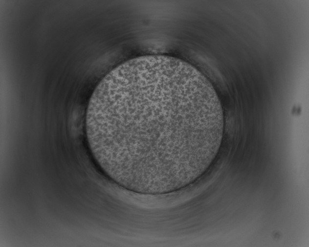 X0000100860030200807181146