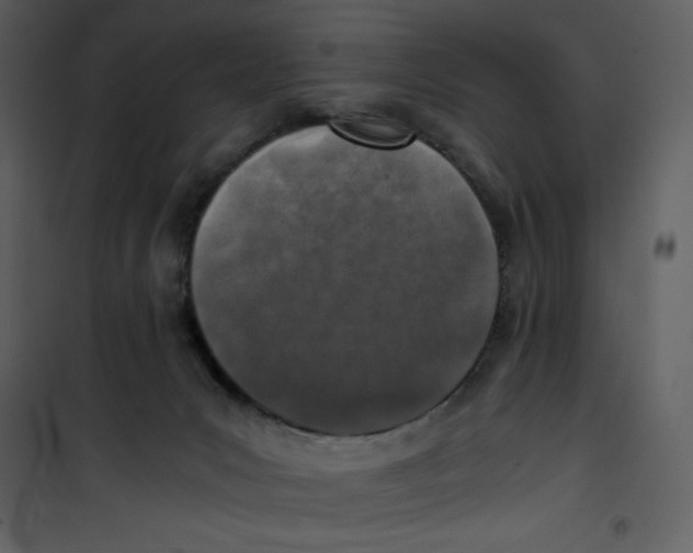 X0000100860031200807181146