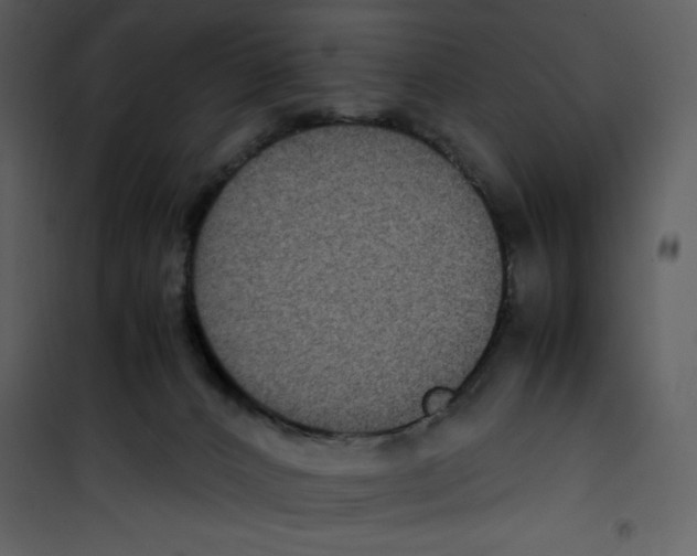 X0000100860032200807181146