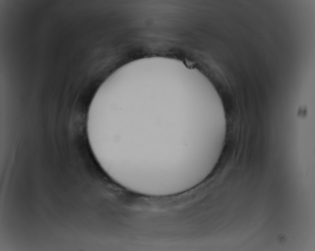 X0000100860033200807181146